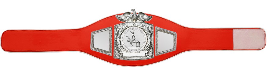PROEAGLE WRESTLING CHAMPIONSHIP BELT - PROEAGLE/S/WRESTS - AVAILABLE IN 6+ COLOURS PROEAGLE WRESTLING CHAMPIONSHIP BELT - PROEAGLE/S/WRESTS - AVAILABLE IN 6+ COLOURS